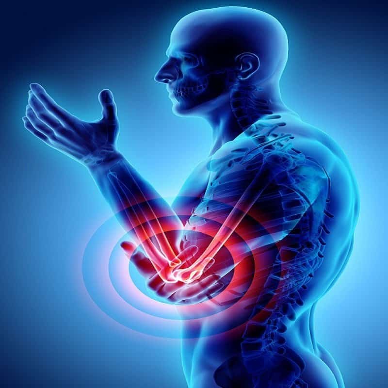 best chiropractor in boca best chiropractor in boca