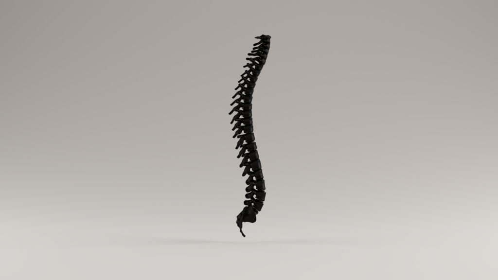 Importance Of Spinal Curves